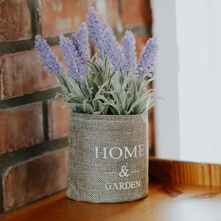 Borealis Maison d'hôtes Koman