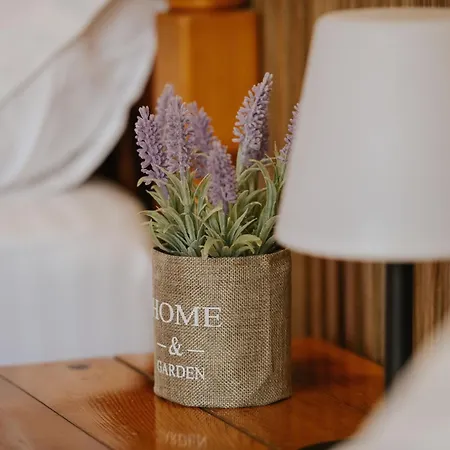 Borealis Maison d'hôtes 3*