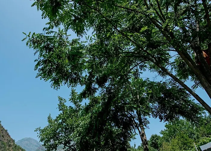 Borealis Penzion Koman